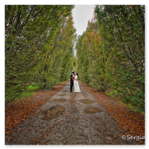 Un momento intimo e romantico rubato durante la sessione di fotografie