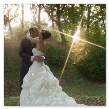 Uno scatto in cui gli Sposi si baciano con il sole che fa capolino formando una stella da dietro i rami di un albero