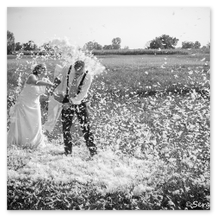 Un momento spensierato in cui gli sposi si prendono a cuscinate che rompendosi fanno volare le piume al loro interno