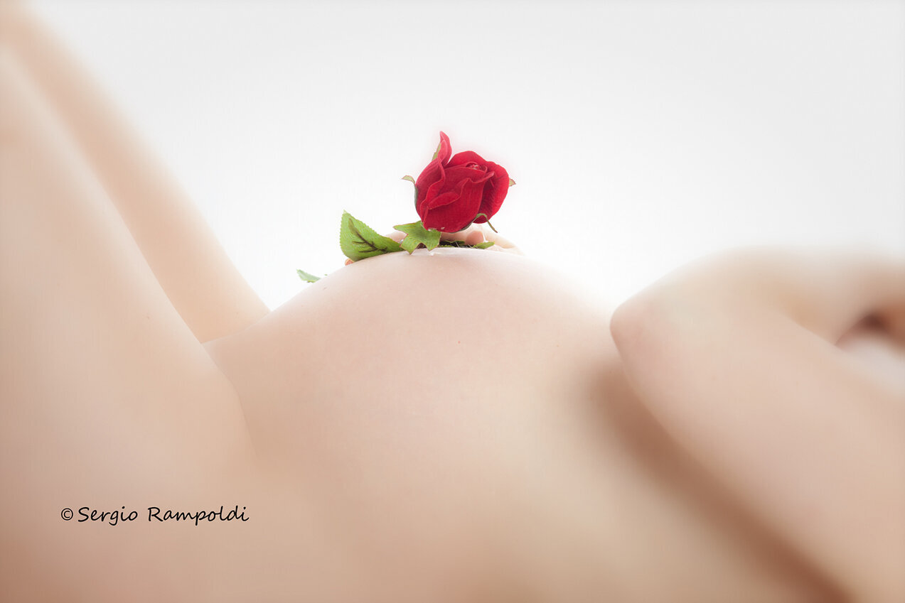 Gravidanza Un ritratto pregnancy di un primo piano solo della pancia con appoggiata sopra una rosa